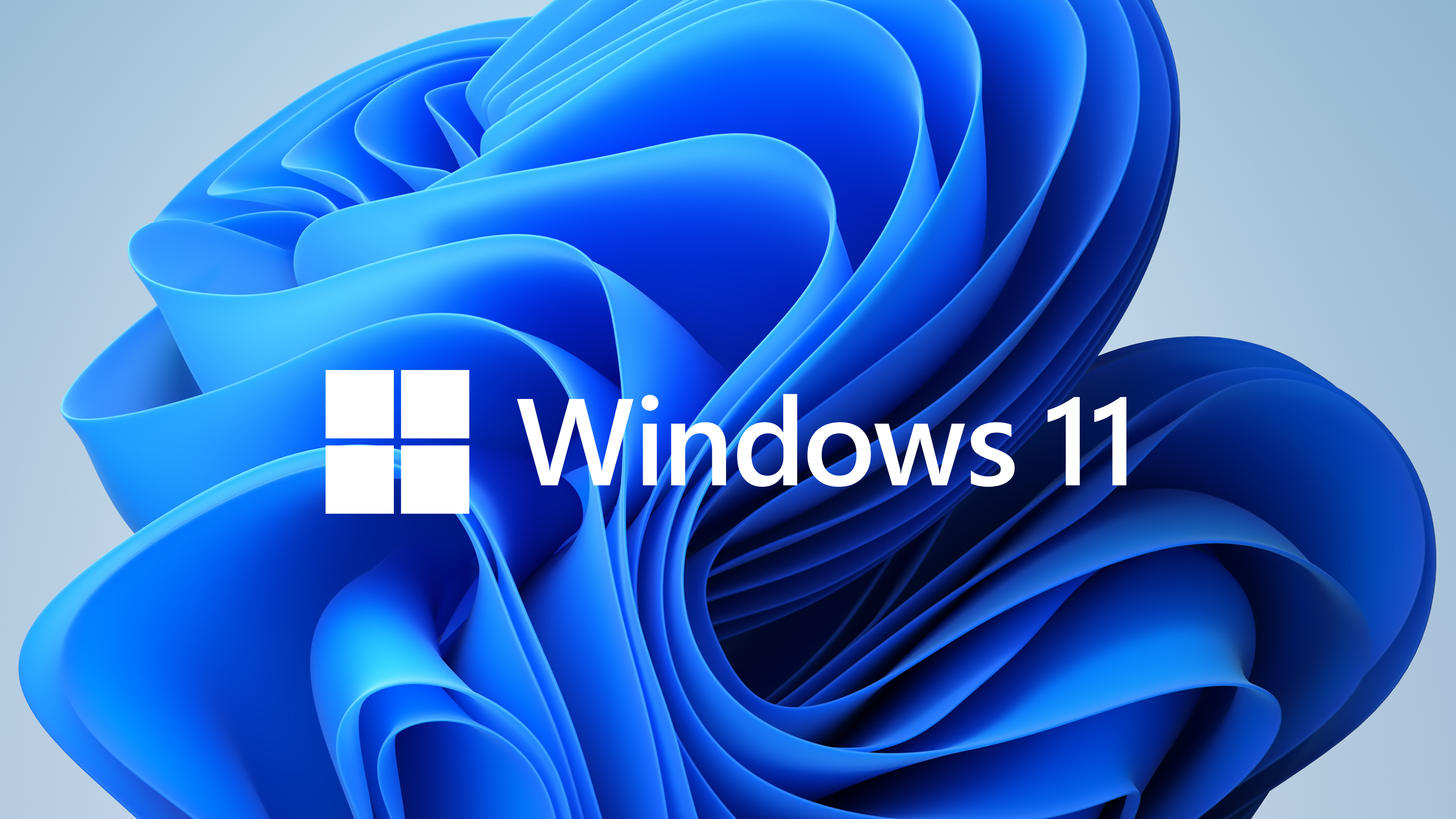 Windows 11 Keyart